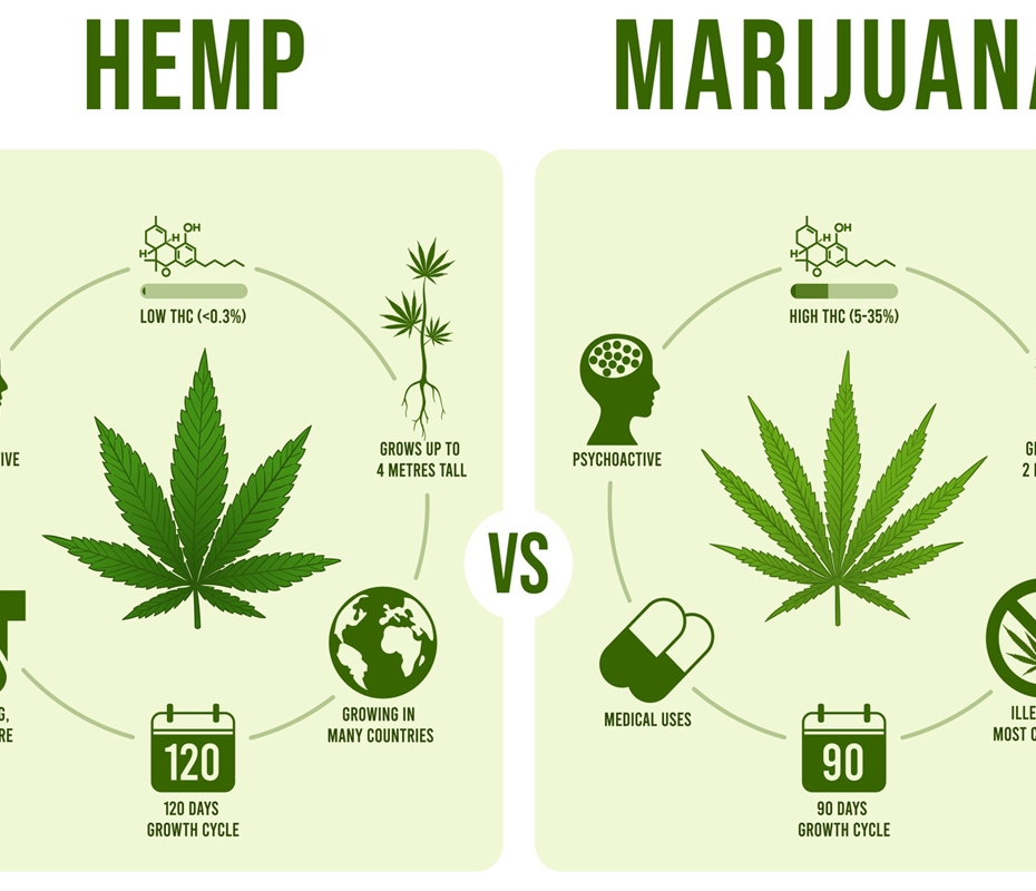 how-is-hemp-different-from-marijuana-blog-restorative-cbd